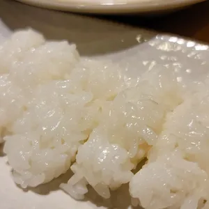 참치야 사진