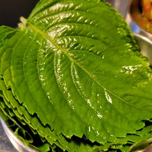 칠프로칠백식당 리뷰 사진