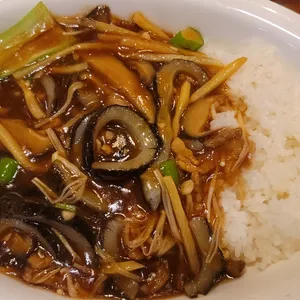 칸지고고 사진