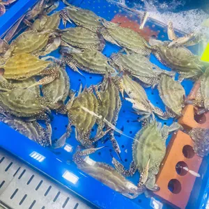 바다나라 사진