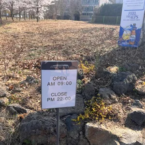 라온드뷰 리뷰 사진