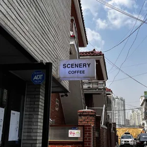 시너리 리뷰 사진