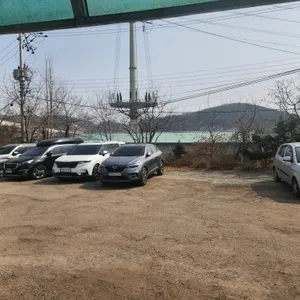 청궁흑염소 리뷰 사진