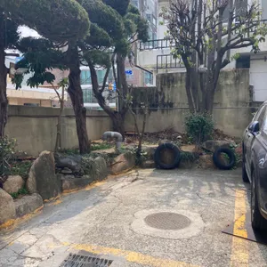 무궁화 리뷰 사진