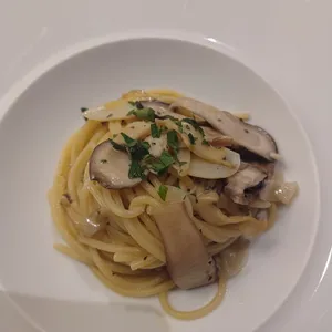 라 쿠치나 사진