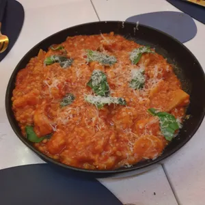 메를로 사진