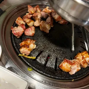 육식주 사진