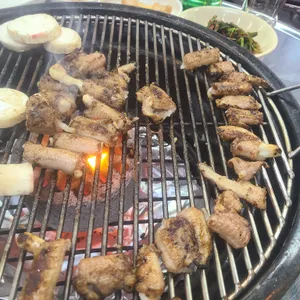 장군 산꼼장어 사진