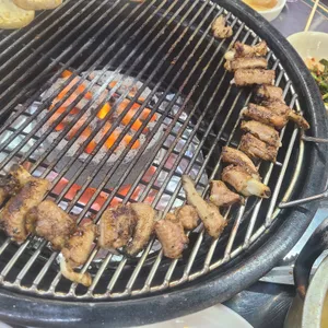 장군 산꼼장어 사진