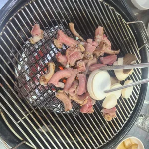 장군 산꼼장어 사진