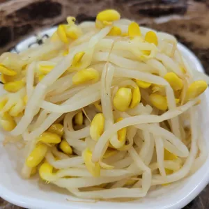 원보리골 리뷰 사진