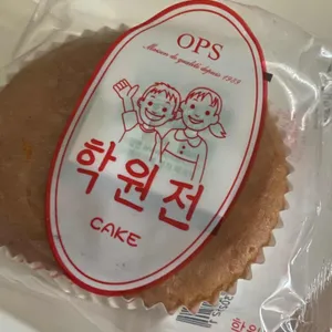 옵스 사진