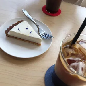 부쉬 사진
