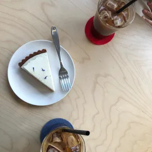 부쉬 사진