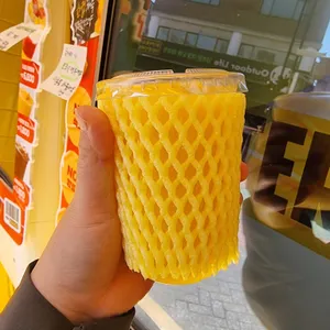 고망고 사진