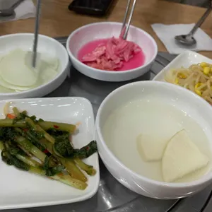 소나무 사진