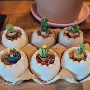 마롱카페 리뷰 사진