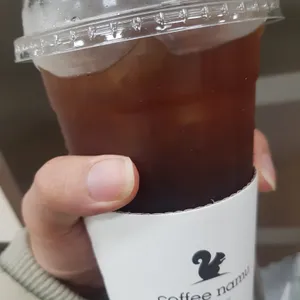 커피나무 사진