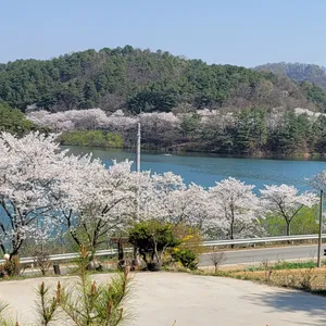 구름나그네 리뷰 사진
