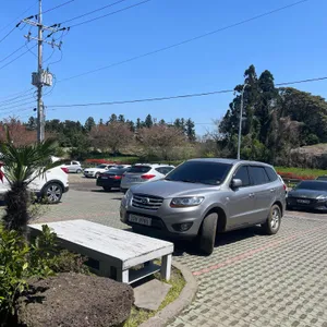 황금손가락 리뷰 사진