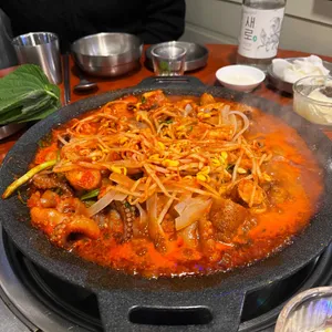쭈꾸미도사 사진
