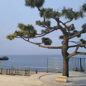 이디야커피 리뷰 사진