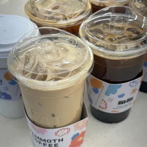 매머드익스프레스 사진