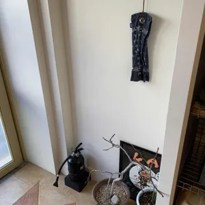 샐러마리 리뷰 사진