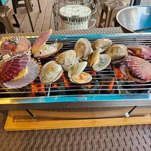 오아시스조개 사진