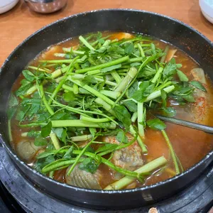 동강나루터 사진