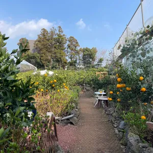 카페 귤꽃다락 리뷰 사진