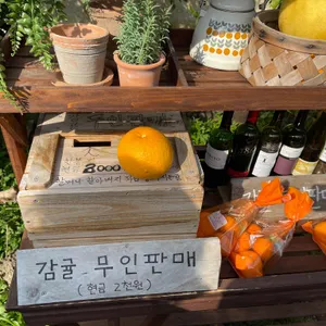 카페 귤꽃다락 리뷰 사진