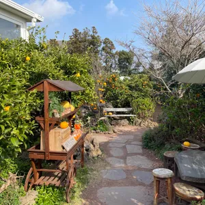 카페 귤꽃다락 리뷰 사진