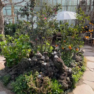 카페 귤꽃다락 리뷰 사진