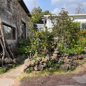 카페 귤꽃다락 리뷰 사진