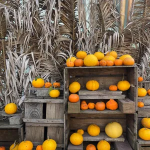 카페 귤꽃다락 리뷰 사진