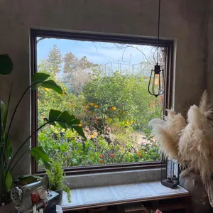 카페 귤꽃다락 리뷰 사진