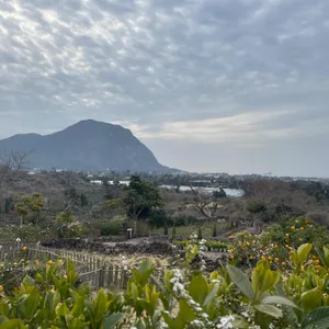 마노르블랑 리뷰 사진