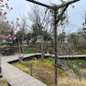 베케 리뷰 사진