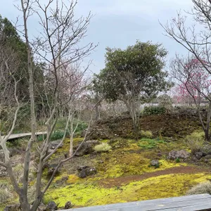 베케 리뷰 사진