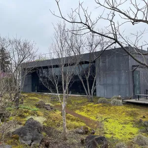 베케 리뷰 사진