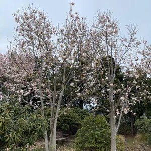 베케 리뷰 사진
