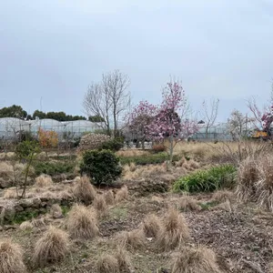 베케 리뷰 사진