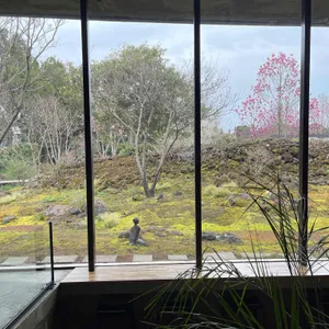베케 리뷰 사진