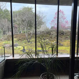 베케 리뷰 사진