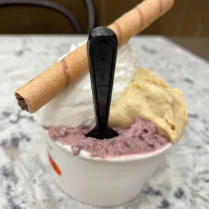 지파시 사진