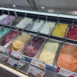 지파시 사진