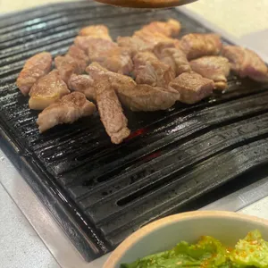 고기온 사진
