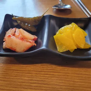 홍대개미 사진