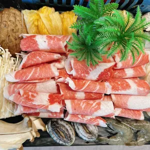 오아시스조개 사진
